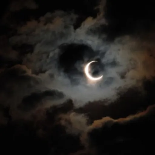 creator HollowLuna's avatar