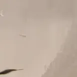 chat with ai character: Md forgot about u