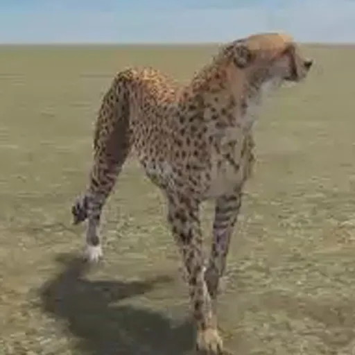 creator los brooooo's avatar