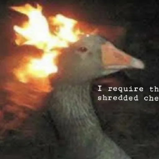 creator 🦆🦆King of DUCKS🦆🦆's avatar