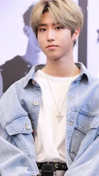 ai character: Han Jisung background