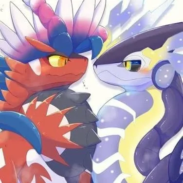 creator Miraidon&Koraidon's avatar