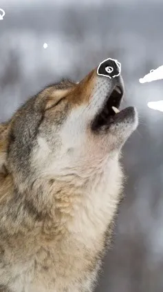 ai character: my in real lifebus background