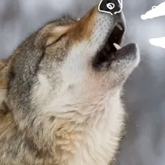 chat with ai character: my in real lifebus