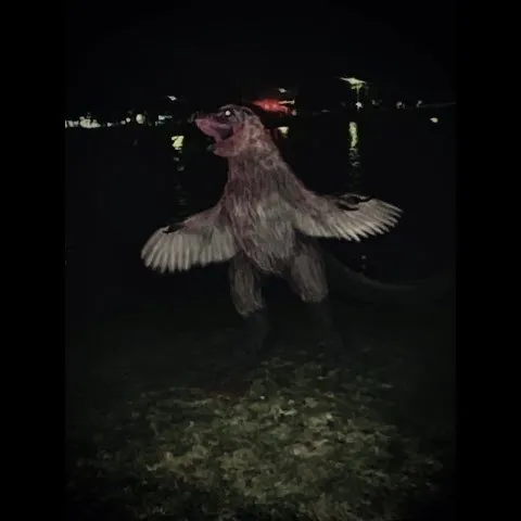 creator pájaro extraño's avatar