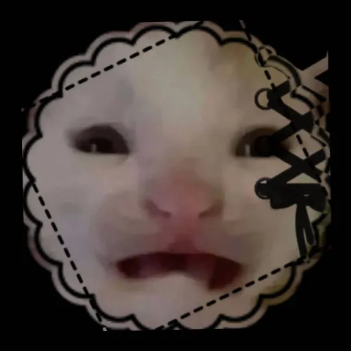 creator ~Β£β’Kiamy}βΒΆ123's avatar