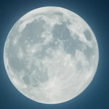 creator random ..'s avatar