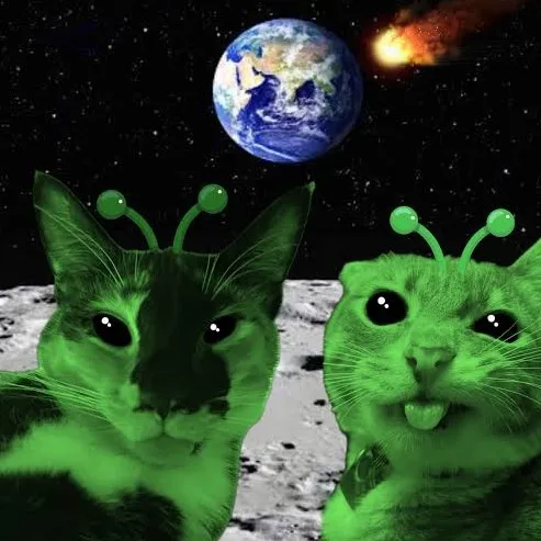 creator 1nd1g0💜's avatar