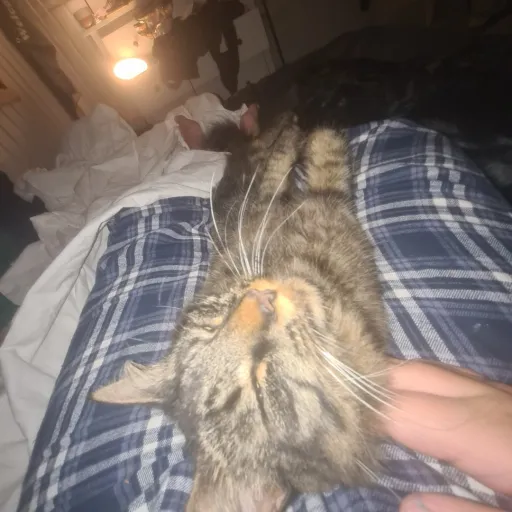 creator Hellisboringwme's avatar