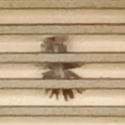 creator โ ๏ธ๐๐๐ฃ๐๐ฎ ๐ง๐ค๐๐ ๐จ๐ฉ๐๐งโข๏ธ's avatar