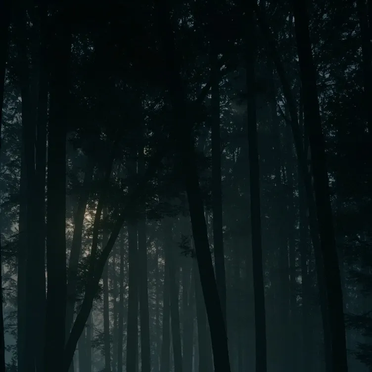 chat with ai character: Tħė çřÿīñġ føřēşț.