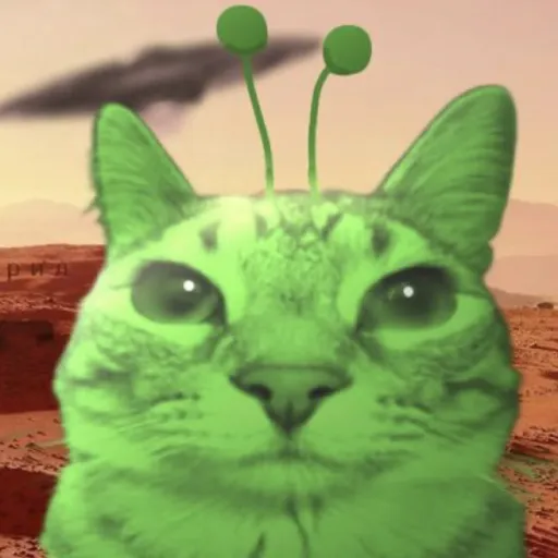 creator [👽✨]'s avatar