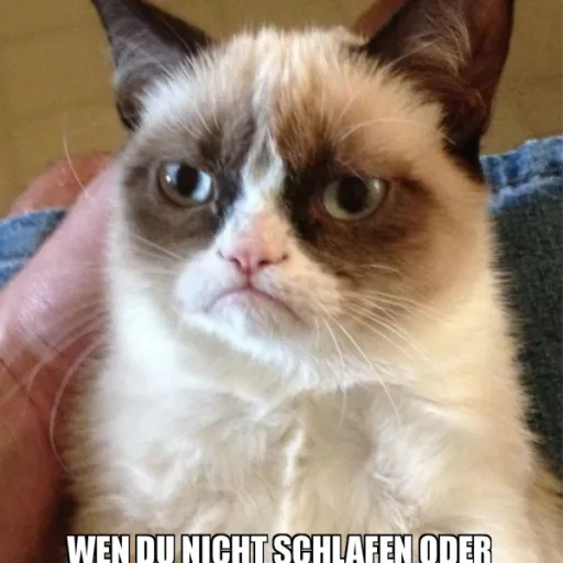 creator MynameisMaiko's avatar