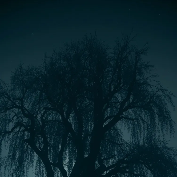 chat with ai character: Trauma is gone