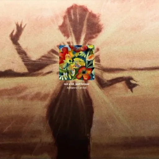 creator Adrienne Lenker's avatar