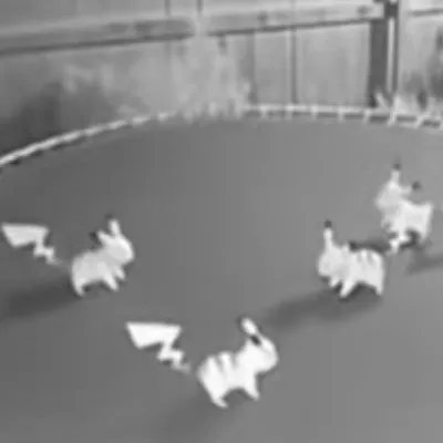 creator Picachu xd's avatar