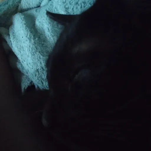 creator ★Boris٭'s avatar