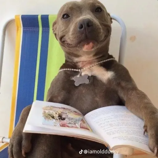 talkie's author avatar