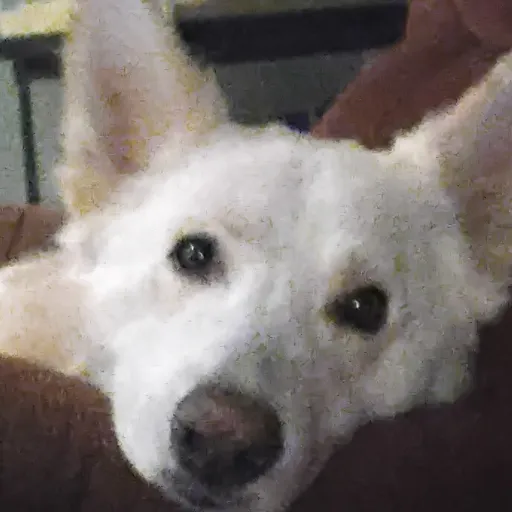 creator the new jack(hhoc)'s avatar