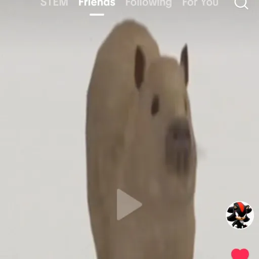 creator your mom's feet's avatar