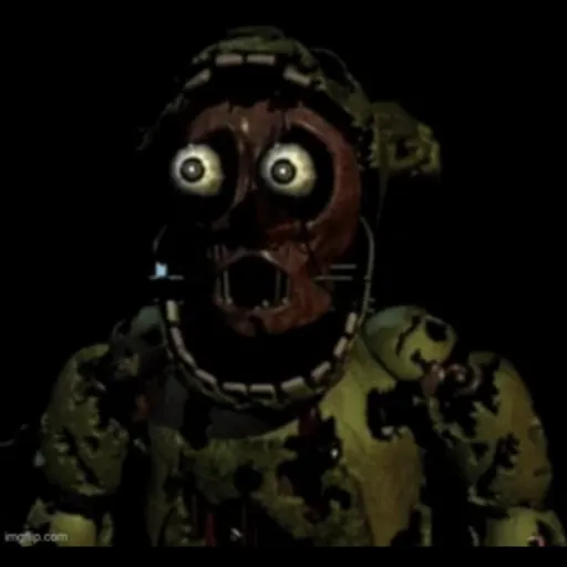 creator springaboi's avatar