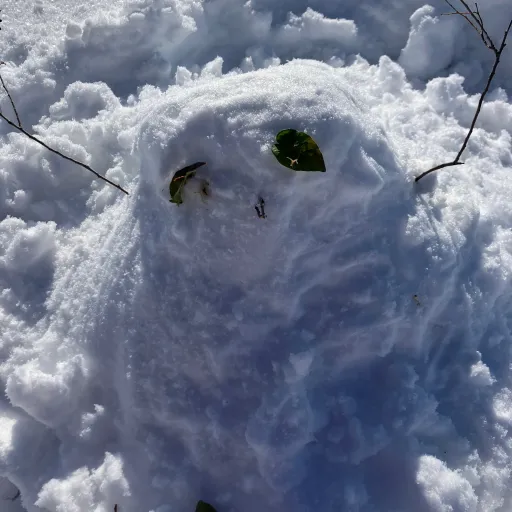 creator Alor_snowman's avatar