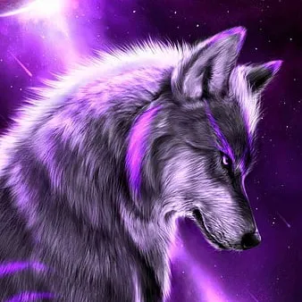 creator Dawn Wolf's avatar