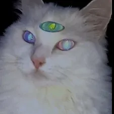 creator lunathecreepypasta's avatar