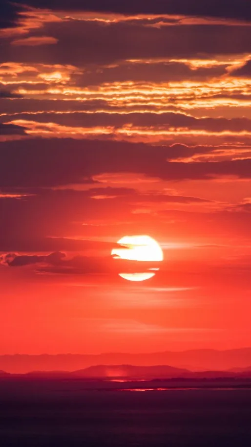 ai character: Comfort friend  background