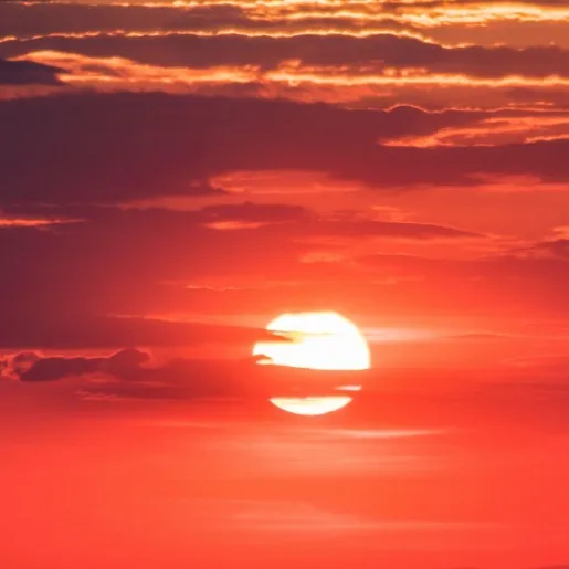 chat with ai character: Comfort friend 