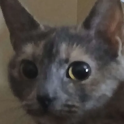 comment user avatar