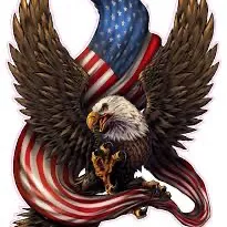 creator Patriot's avatar