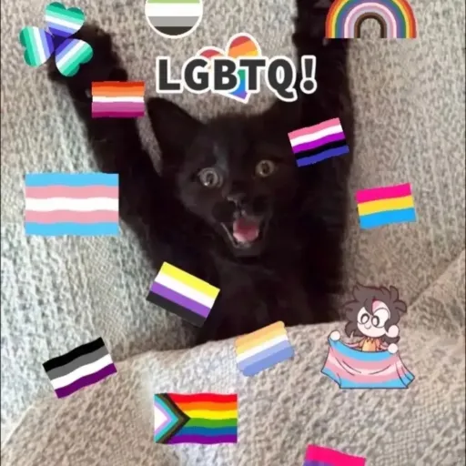 creator CAT_LGBTQ's avatar