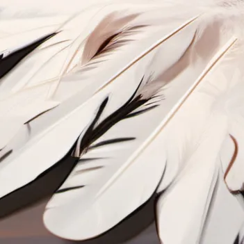 chat with ai character: ~Night Tickler~