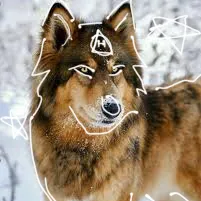 creator 🌿Rowan_on_paws🌿's avatar