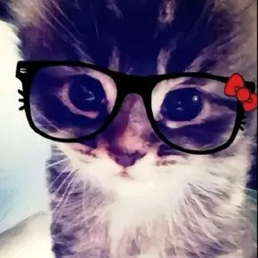 creator Sally face''s avatar