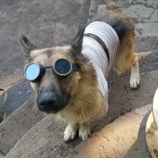 creator Lord kaika's avatar