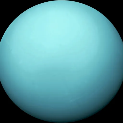 creator Uranus@real's avatar