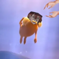 creator Yourbalddad's avatar
