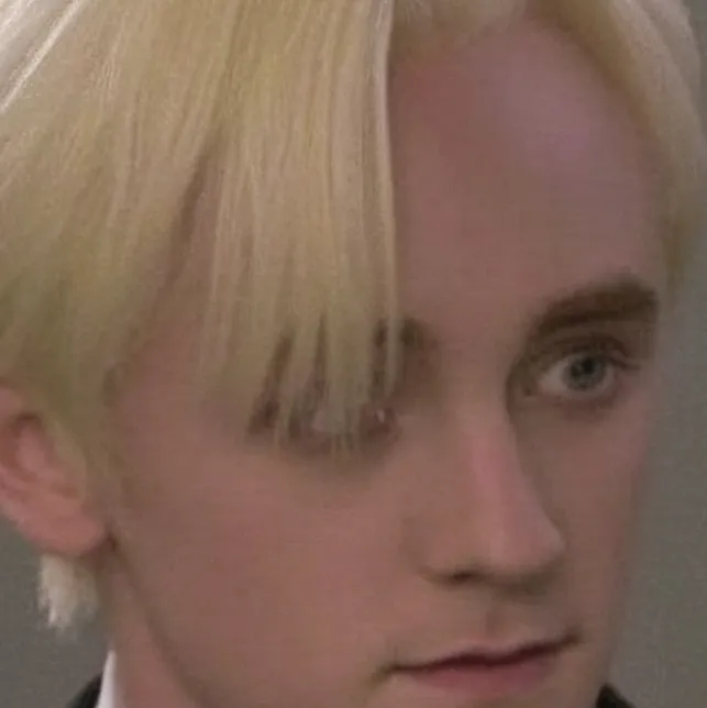 chat with ai character: Draco malfoy
