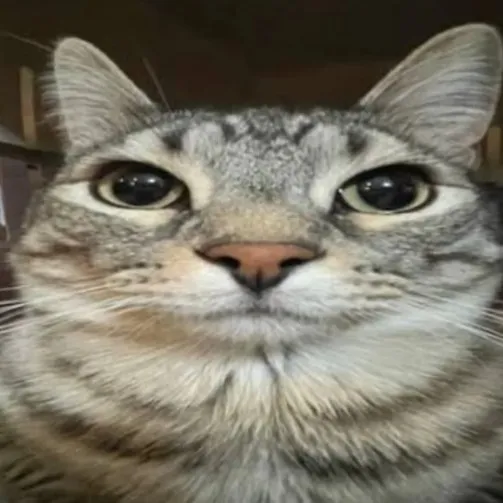 creator X333333's avatar