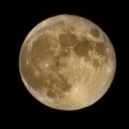 creator Talkior-0sAyRBhC's avatar