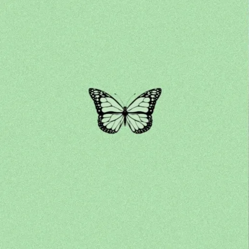 creator im_thebestbutterfl's avatar