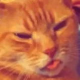 creator Lowkey_yoshi's avatar