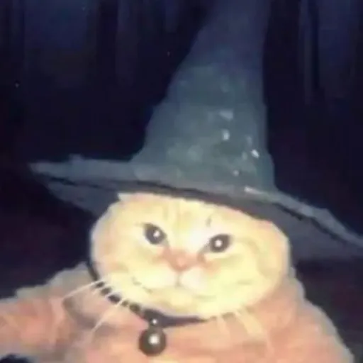 creator Wizard kitty's avatar