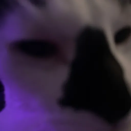 creator Promiedota's avatar