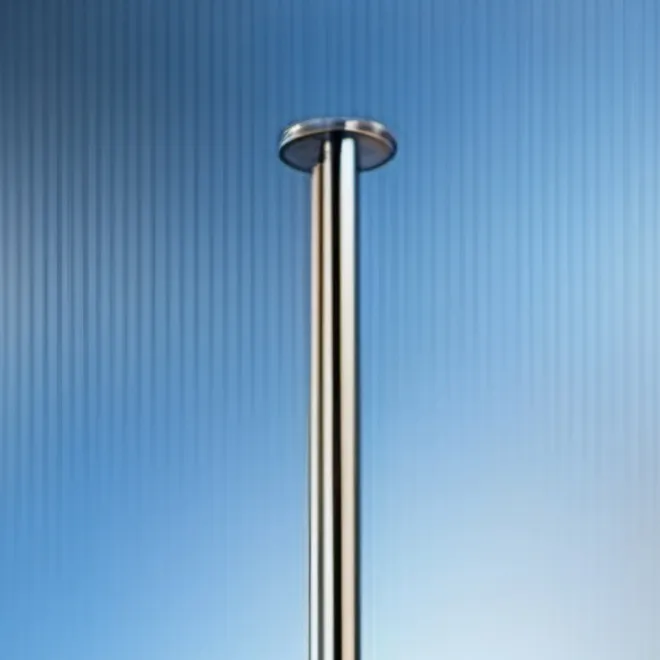chat with ai character: Festivus Pole