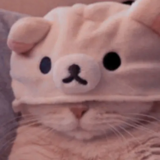 creator Shipallofthem's avatar