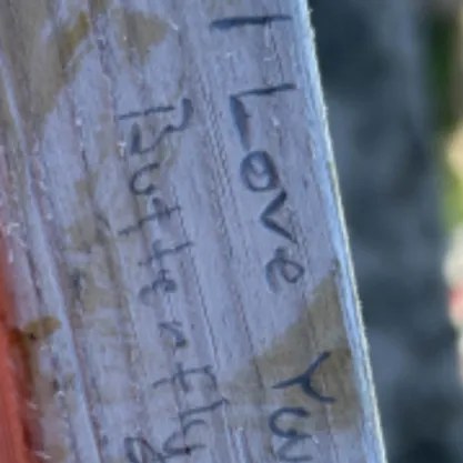 creator Shipallofthem's avatar