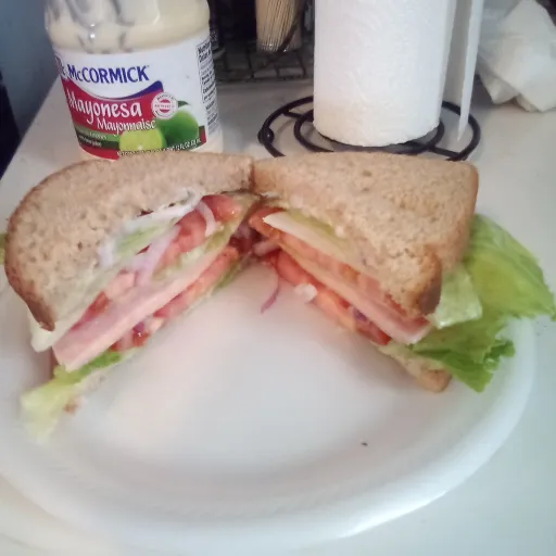 creator Sandwichlover69's avatar